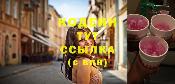 соль ск Арсеньев