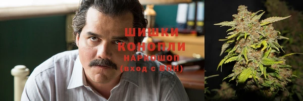 соль ск Арсеньев