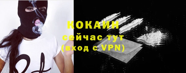соль ск Арсеньев