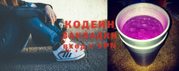 соль ск Арсеньев